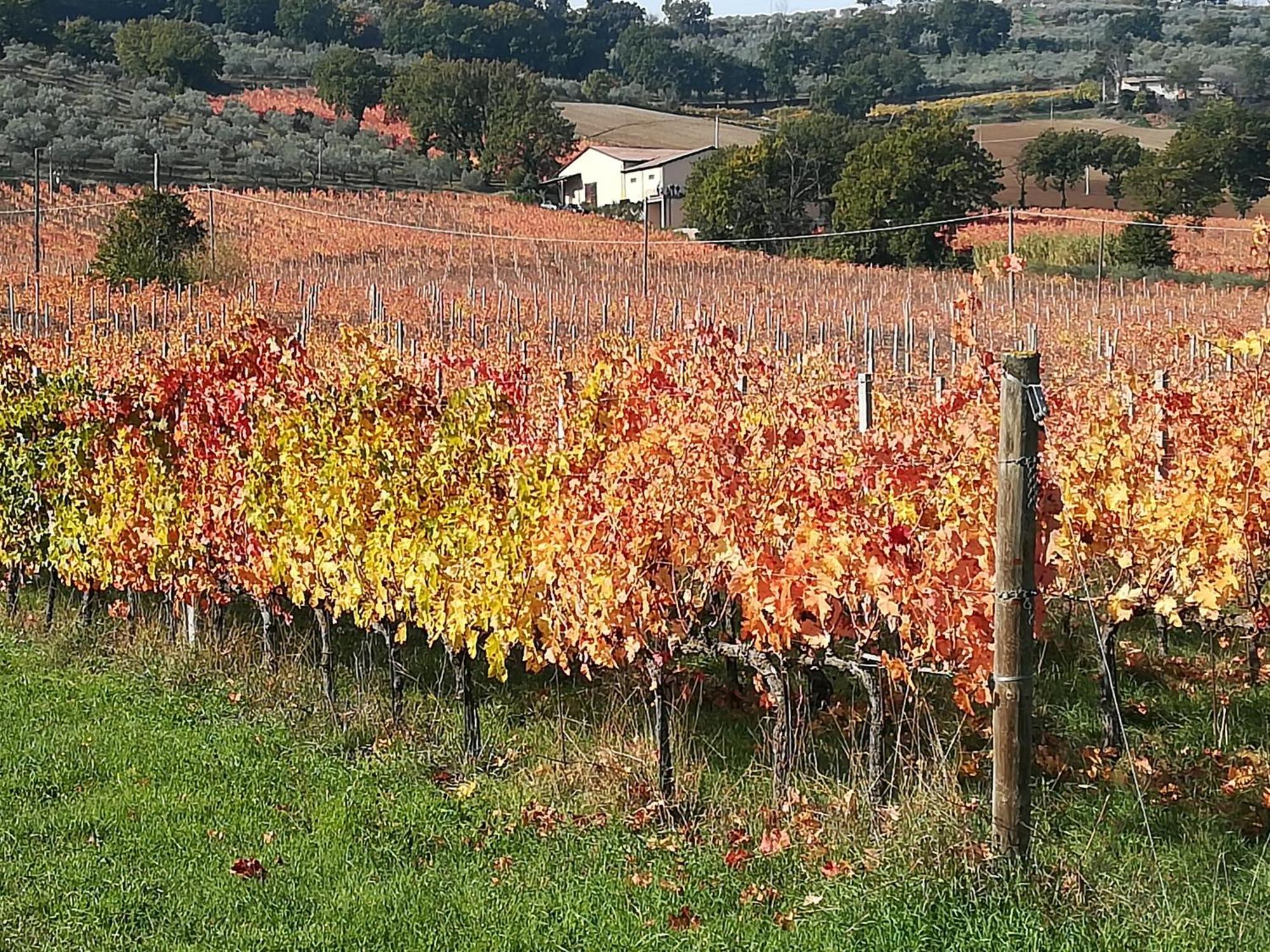 Antico Gioiello Umbro , Appartamento Con Terrazza فولينيو المظهر الخارجي الصورة